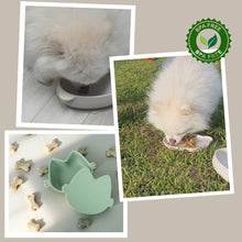 Load image into Gallery viewer, Platinum Silicone MoaCat Bowl Set . Butter
